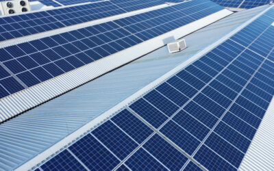 Impianto fotovoltaico: una svolta sostenibile per Adriano Lissoni S.r.l.